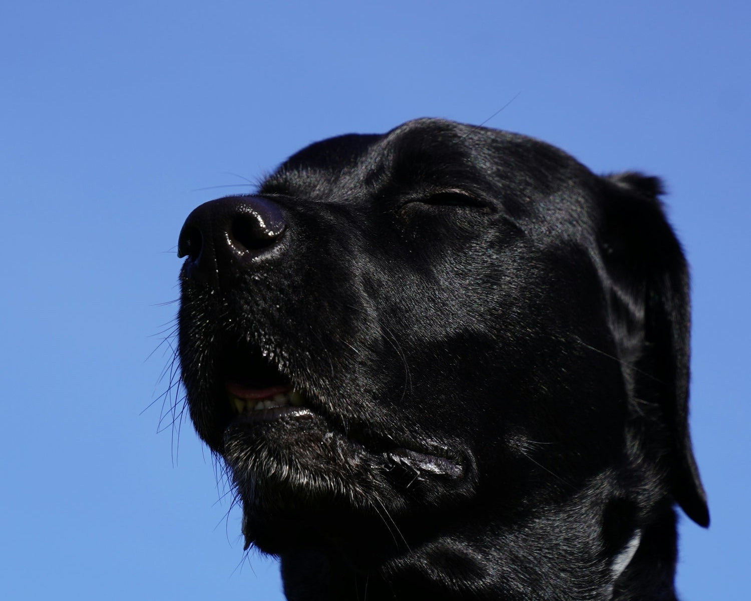 Why a Vitamin Supplement Isn’t Extra — It’s Essential