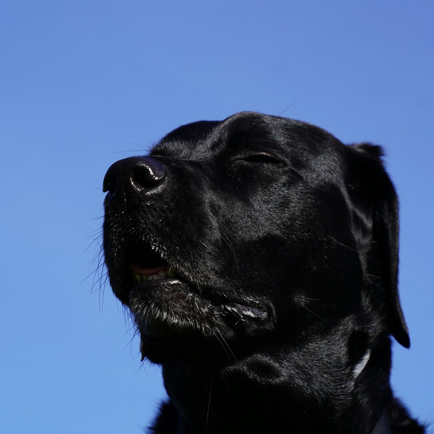 Why a Vitamin Supplement Isn’t Extra — It’s Essential