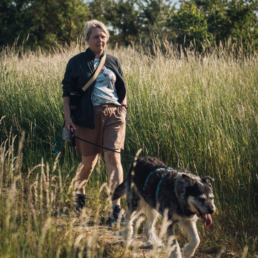 Dog Walks: Collar vs. Harness - What should I choose?