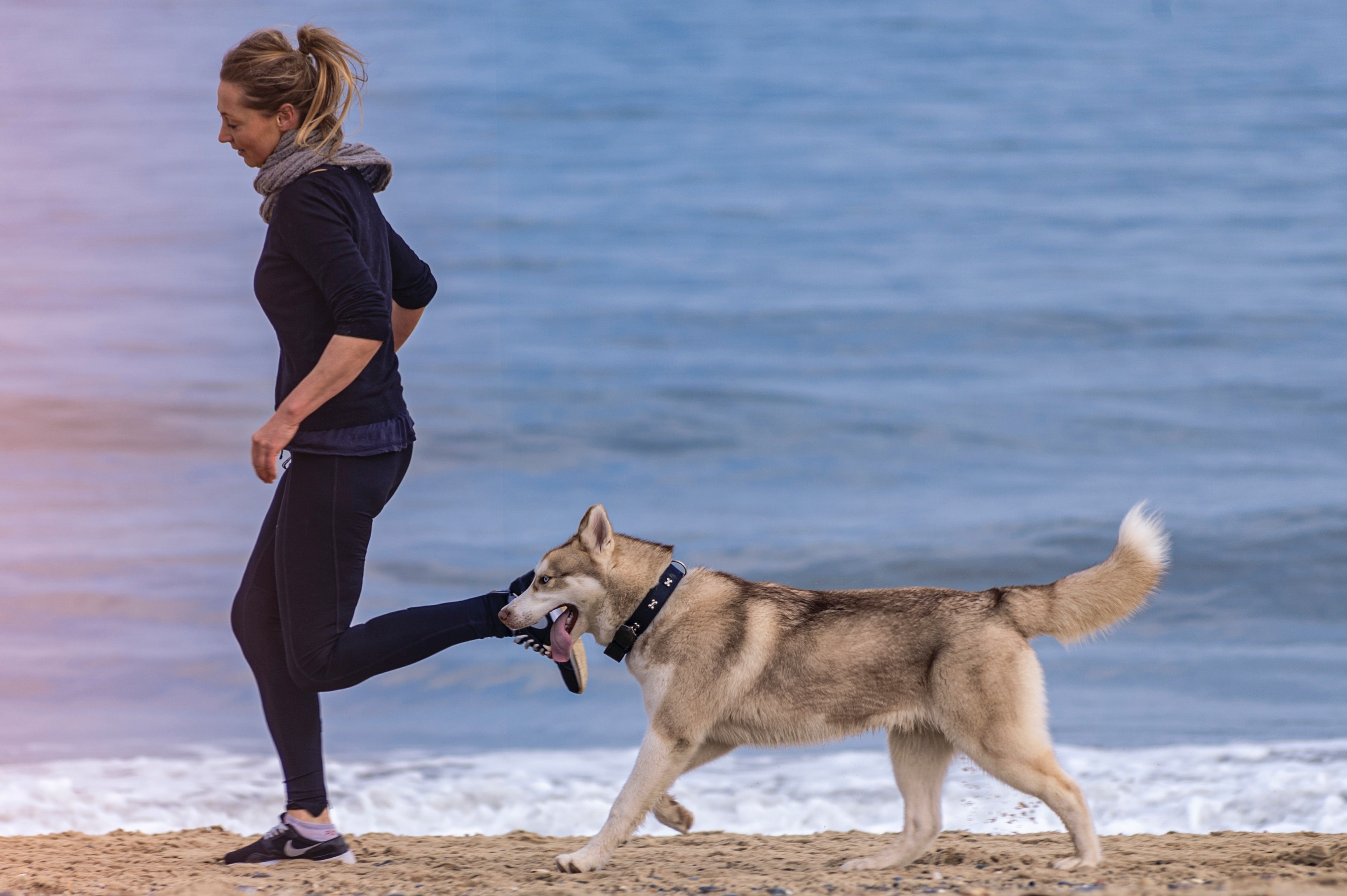 Pawsitively Healthy: New Year, New Healthy Habits for You and Your Dog