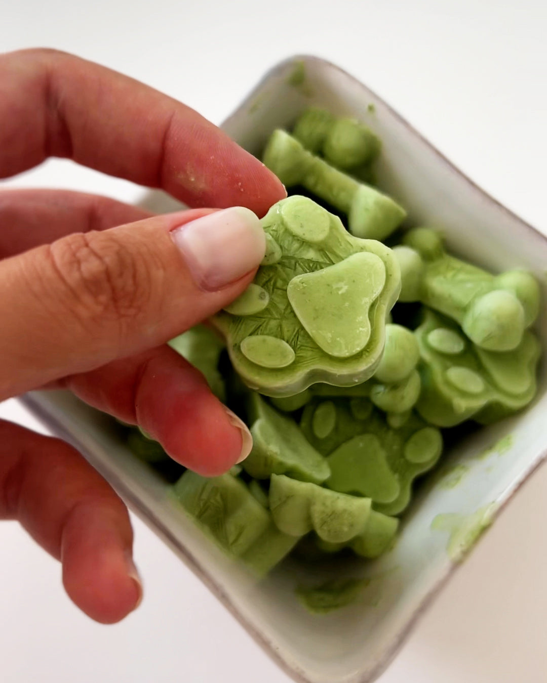 Minty Probiotic Breath Fresheners for Dogs A Healthy Treat They'll Lo