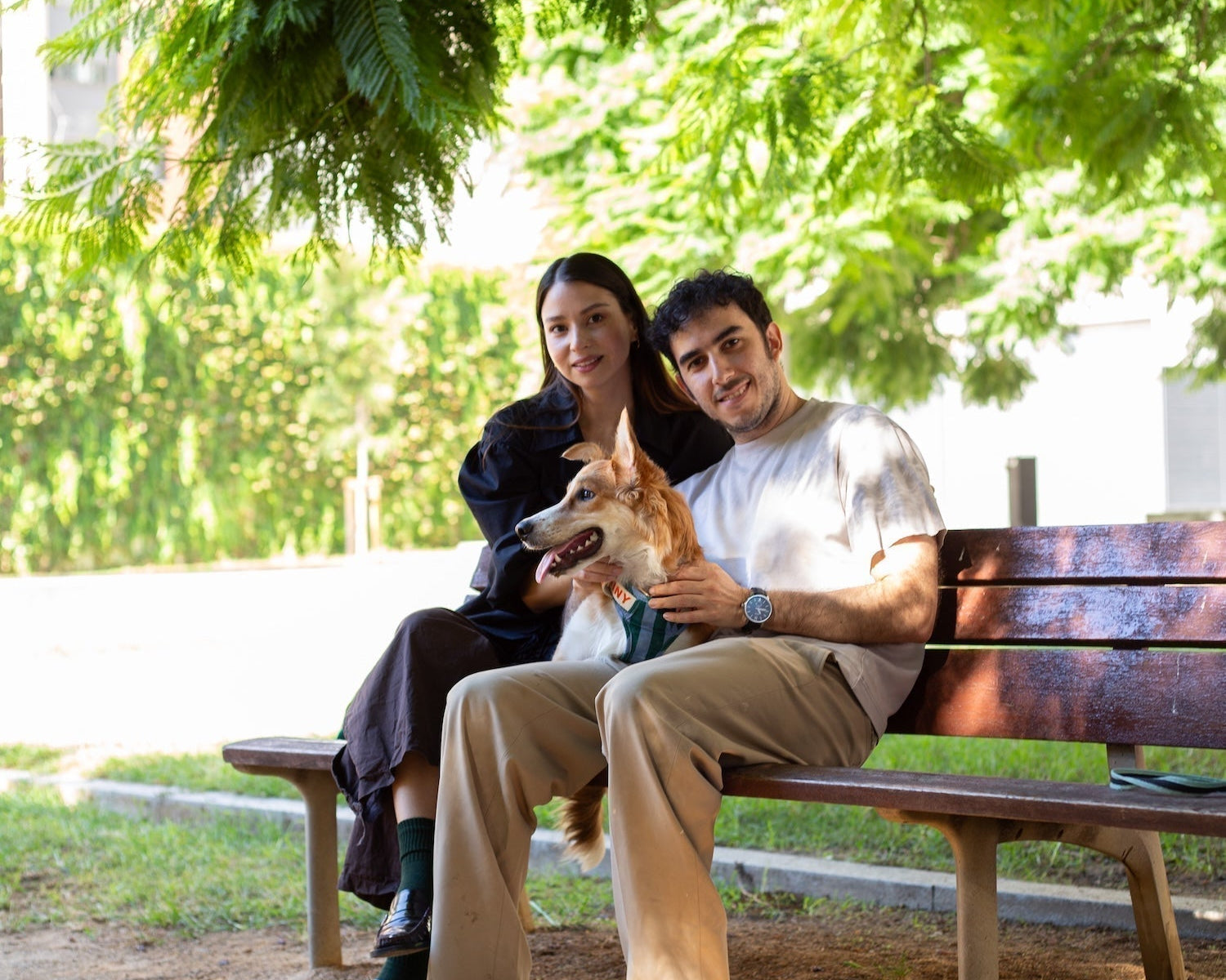What’s Up, Dog: The Art of Growing Together