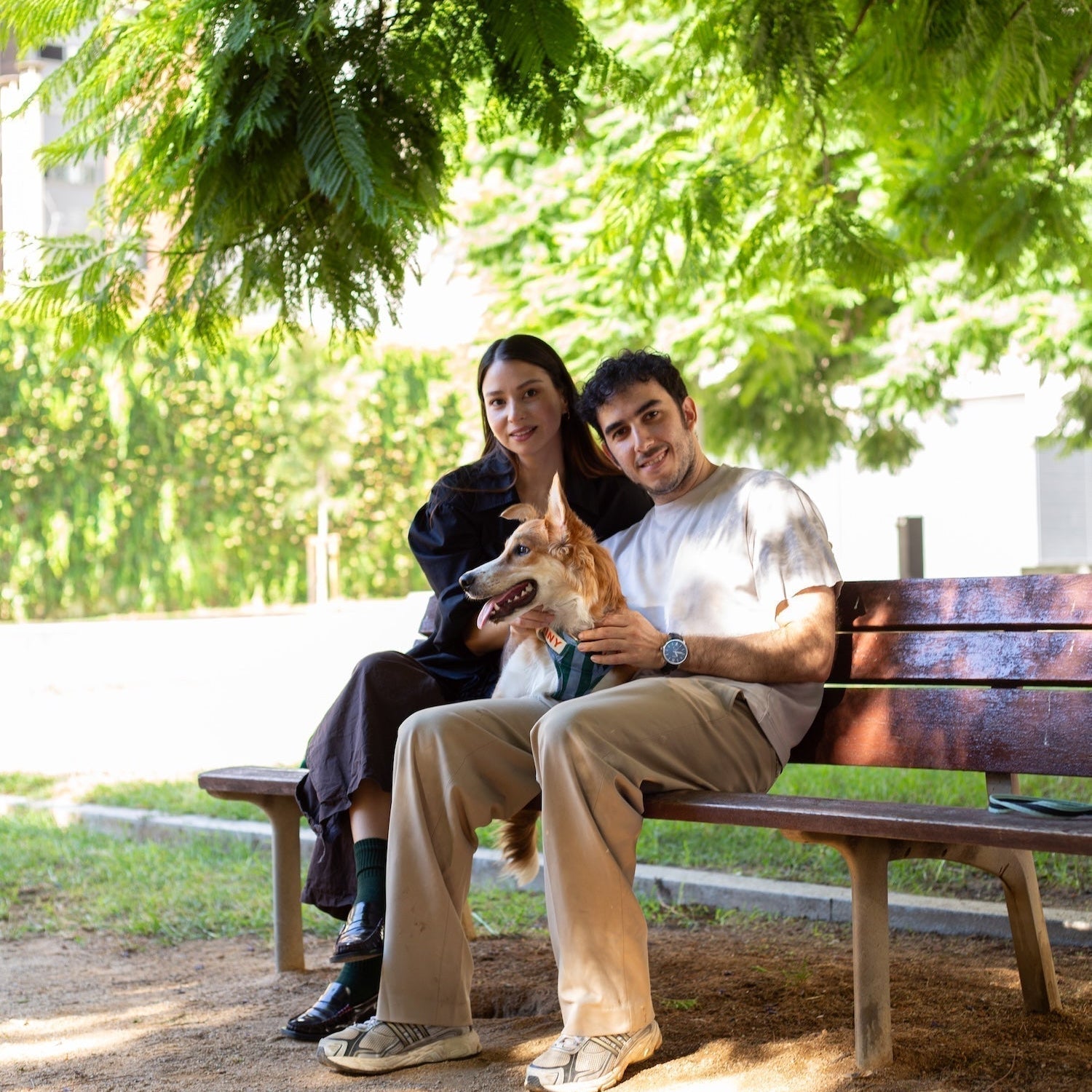 What’s Up, Dog: The Art of Growing Together