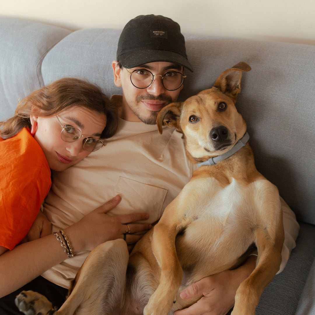 What's Up Dog: From Argentina to Milan - A Journey of Design and Dogs