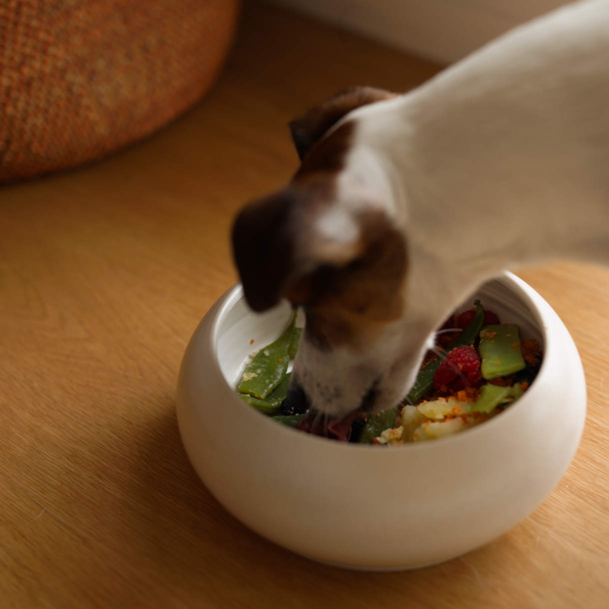 Does My Dog Need Daily Supplements? Benefits of Dog Vitamins Explained