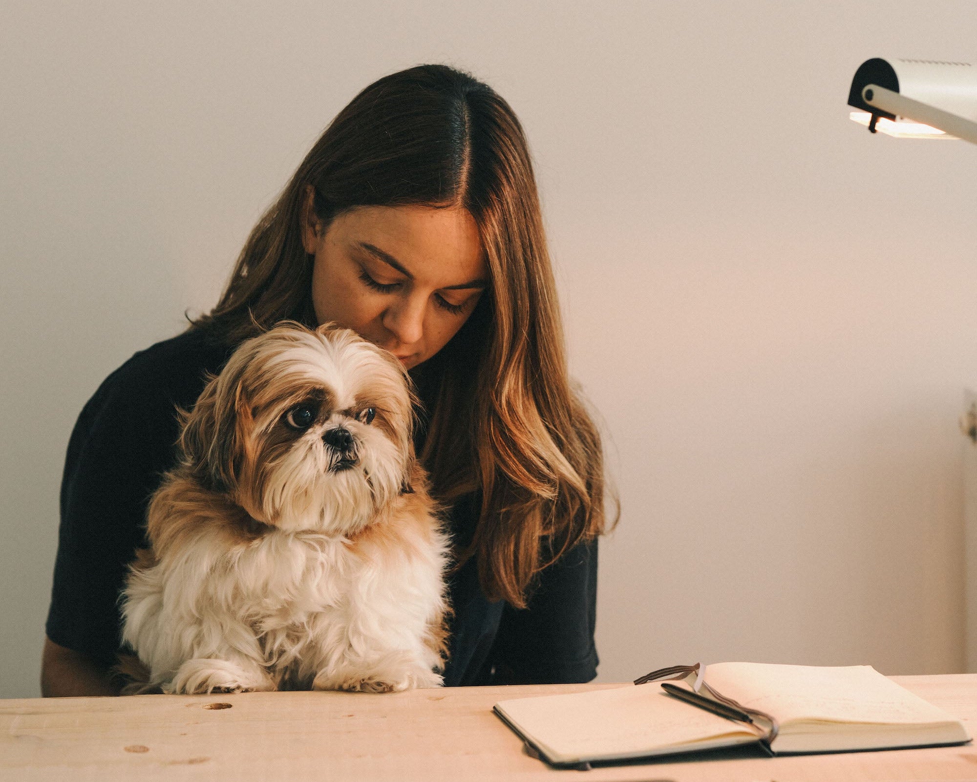 What's Up Dog: Stuffed Seals & Slow Living with Jimi the Shih Tzu