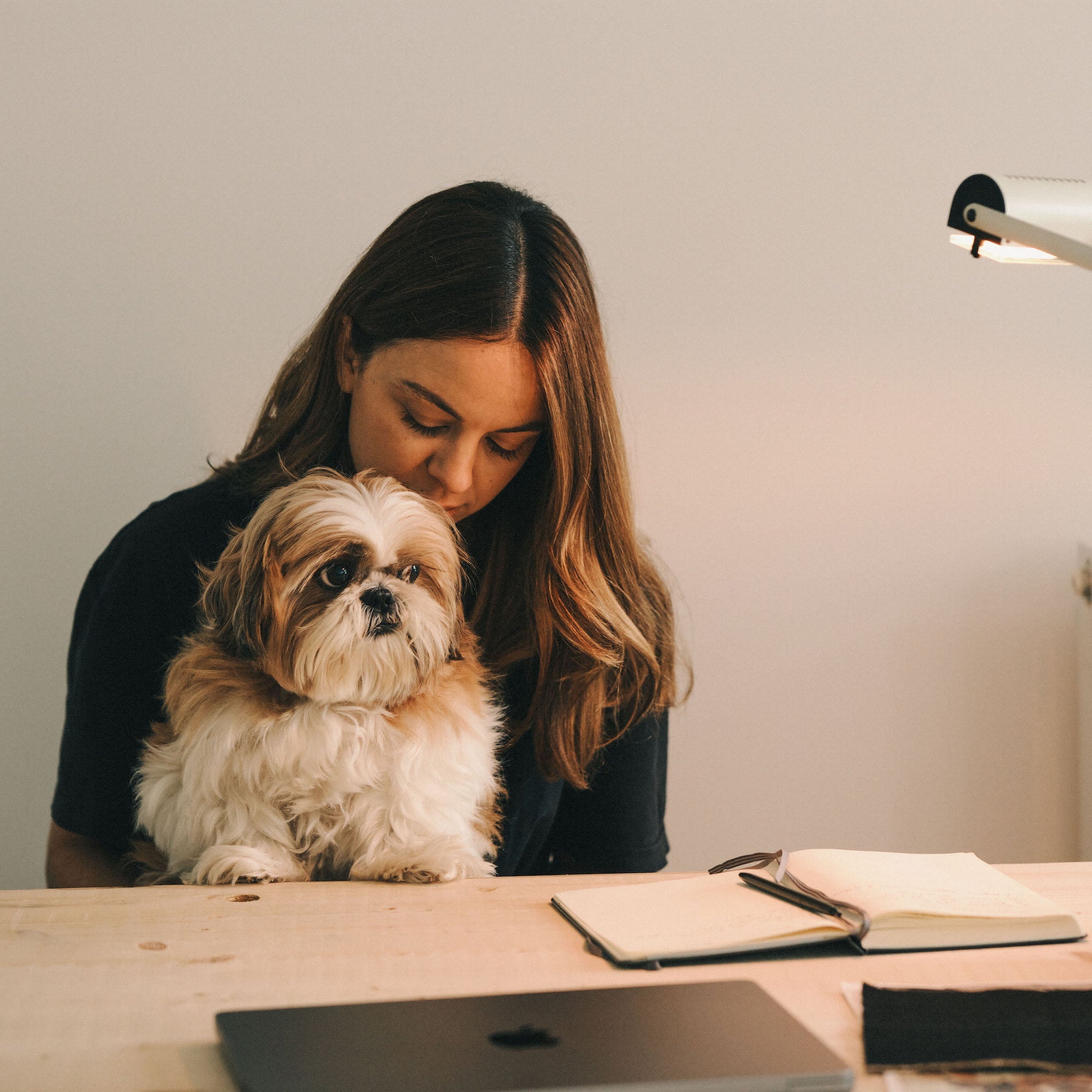 What's Up Dog: Stuffed Seals & Slow Living with Jimi the Shih Tzu