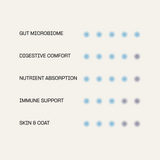 Digest Probiotic Gut Supplement