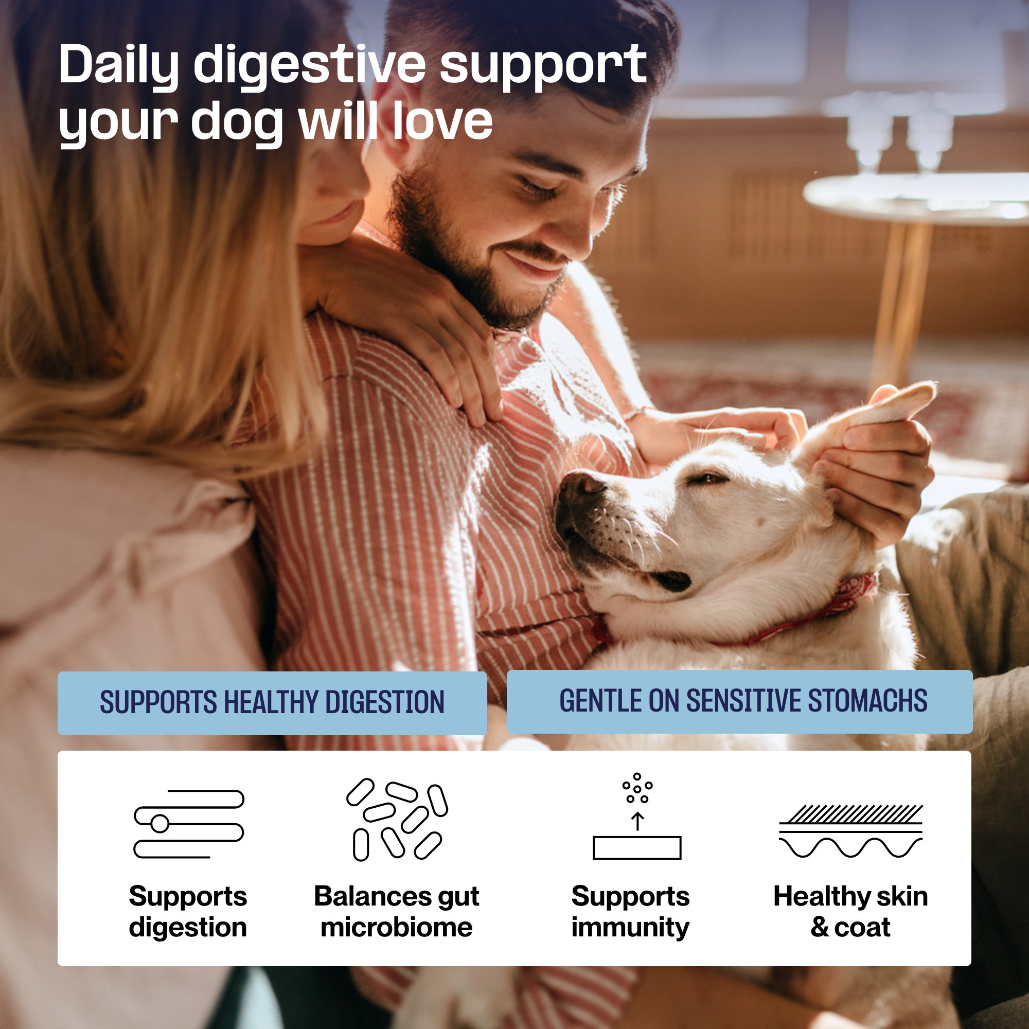 Dog Digestive Supplement for Gut Health & Comfort | Doganics Digest ...