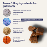 Digest Probiotic Gut Supplement