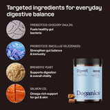 Digest Probiotic Gut Supplement