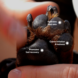 High Nutrition Dog Skin Balm