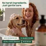 Champú Natural para Perros
