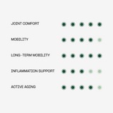 Active Hip & Joint Supplement