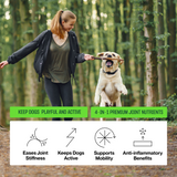 Active Hip & Joint Supplement