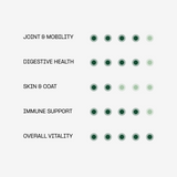 Core+ Daily Multivitamin Supplement