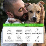 Core+ Daily Multivitamin Supplement