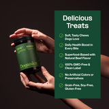 Core+ Daily Multivitamin Supplement