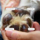 High Nutrition Dog Skin Balm